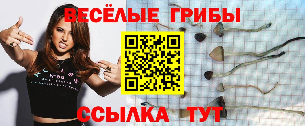 Псилоцибиновые грибы прущие грибы Протвино