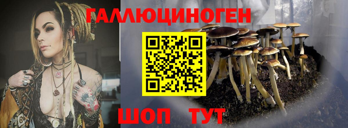 Псилоцибиновые грибы MAGIC MUSHROOMS  Вход с VPN  Протвино 